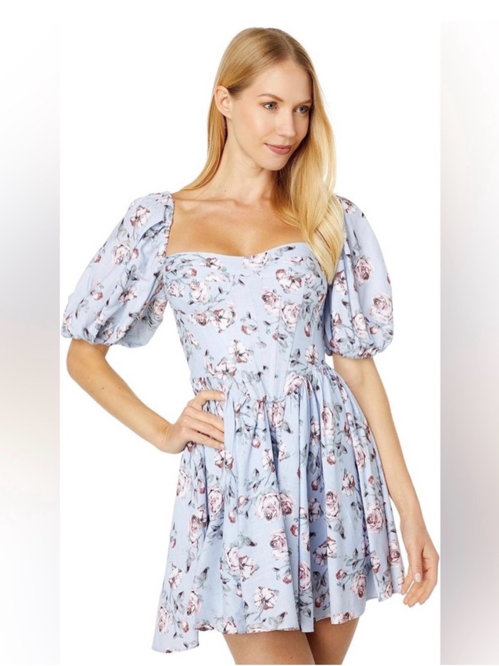 Bardot Kiah Corset Blue Floral Puff-Sleeve Mini Dress